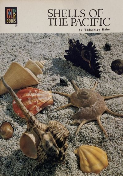 SHELLS OF THE PACIFIC 