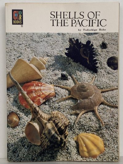 SHELLS OF THE PACIFIC
