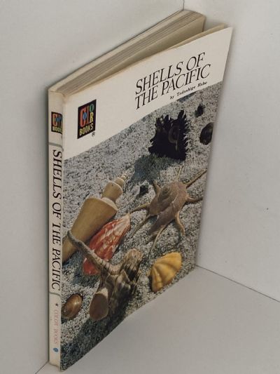 SHELLS OF THE PACIFIC