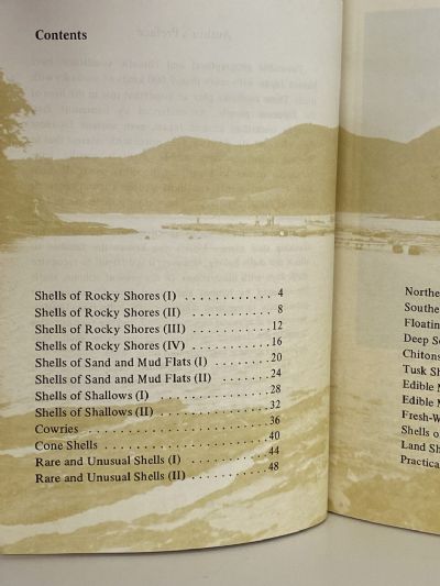 SHELLS OF THE PACIFIC