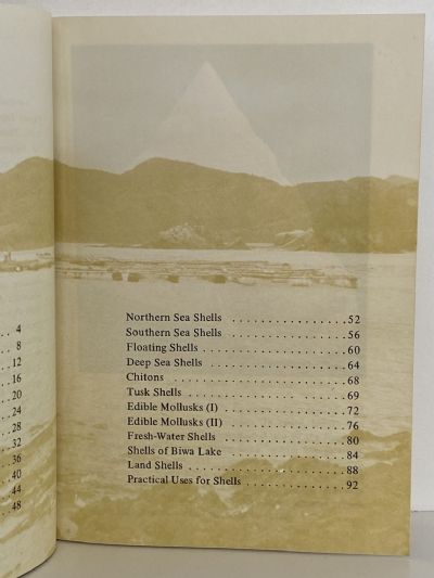 SHELLS OF THE PACIFIC