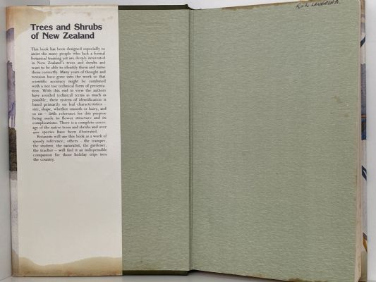 TREES AND SHRUBS OF NEW ZEALAND