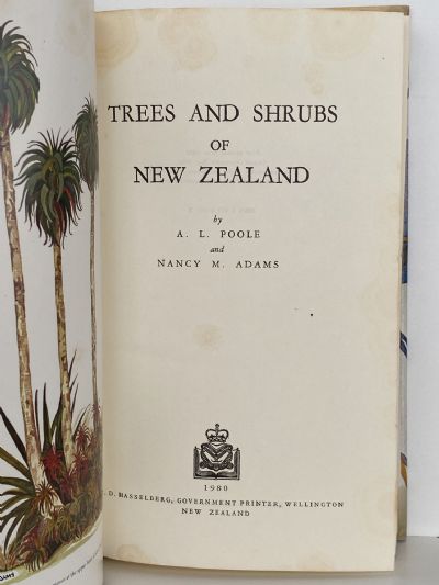 TREES AND SHRUBS OF NEW ZEALAND