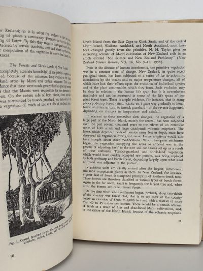 TREES AND SHRUBS OF NEW ZEALAND