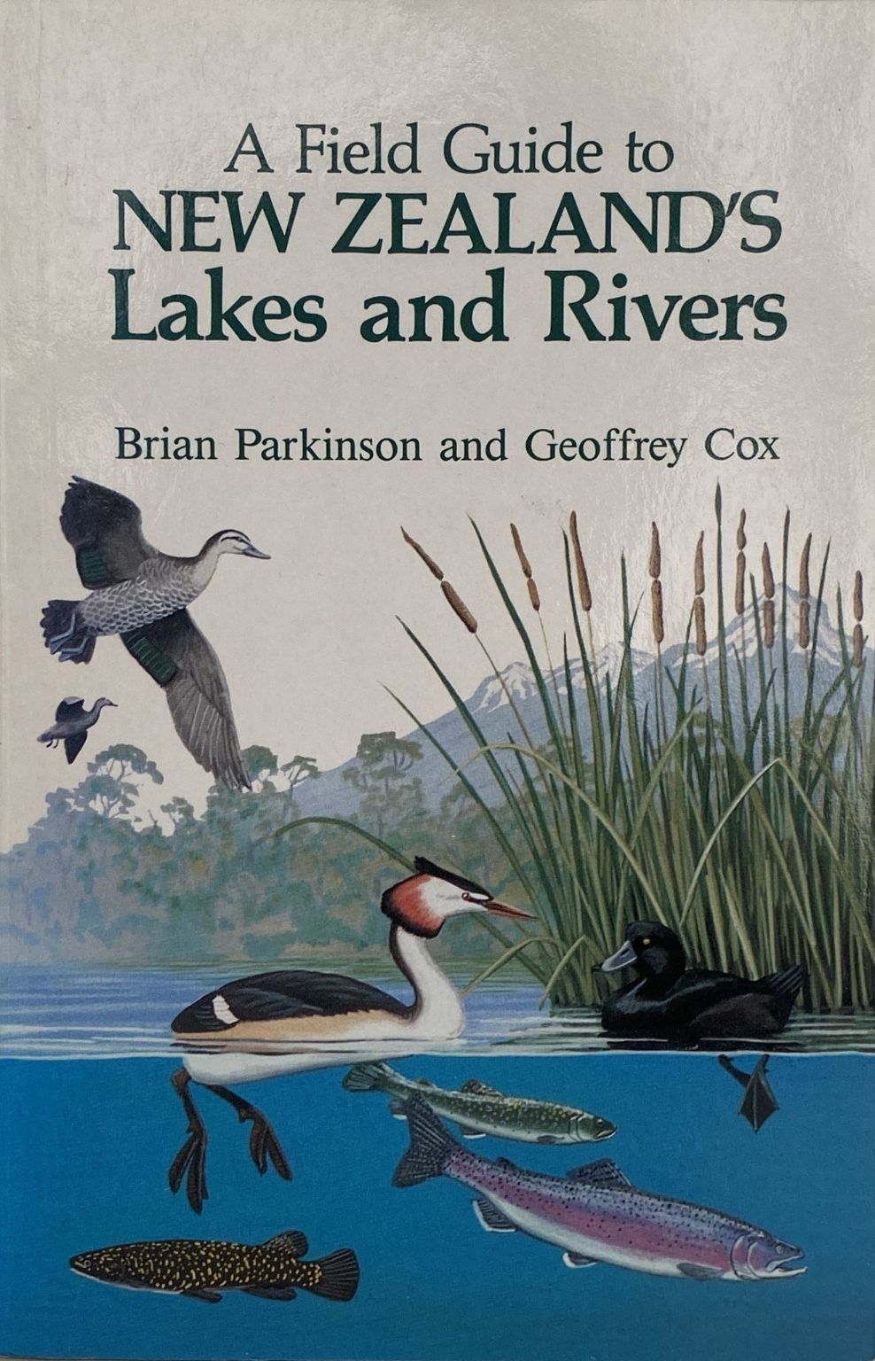 NEW ZEALAND LAKES AND RIVERS: A Field Guide