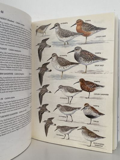 BIRDS OF NEW ZEALAND: The Hand Guide
