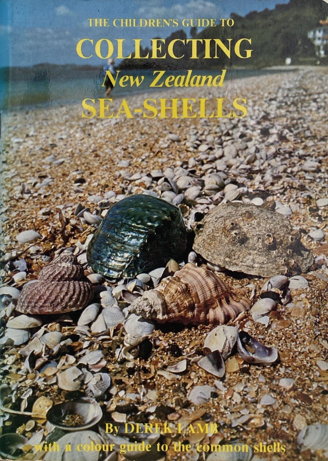 COLLECTING NEW ZEALAND SEA SHELLS The Children's Guide