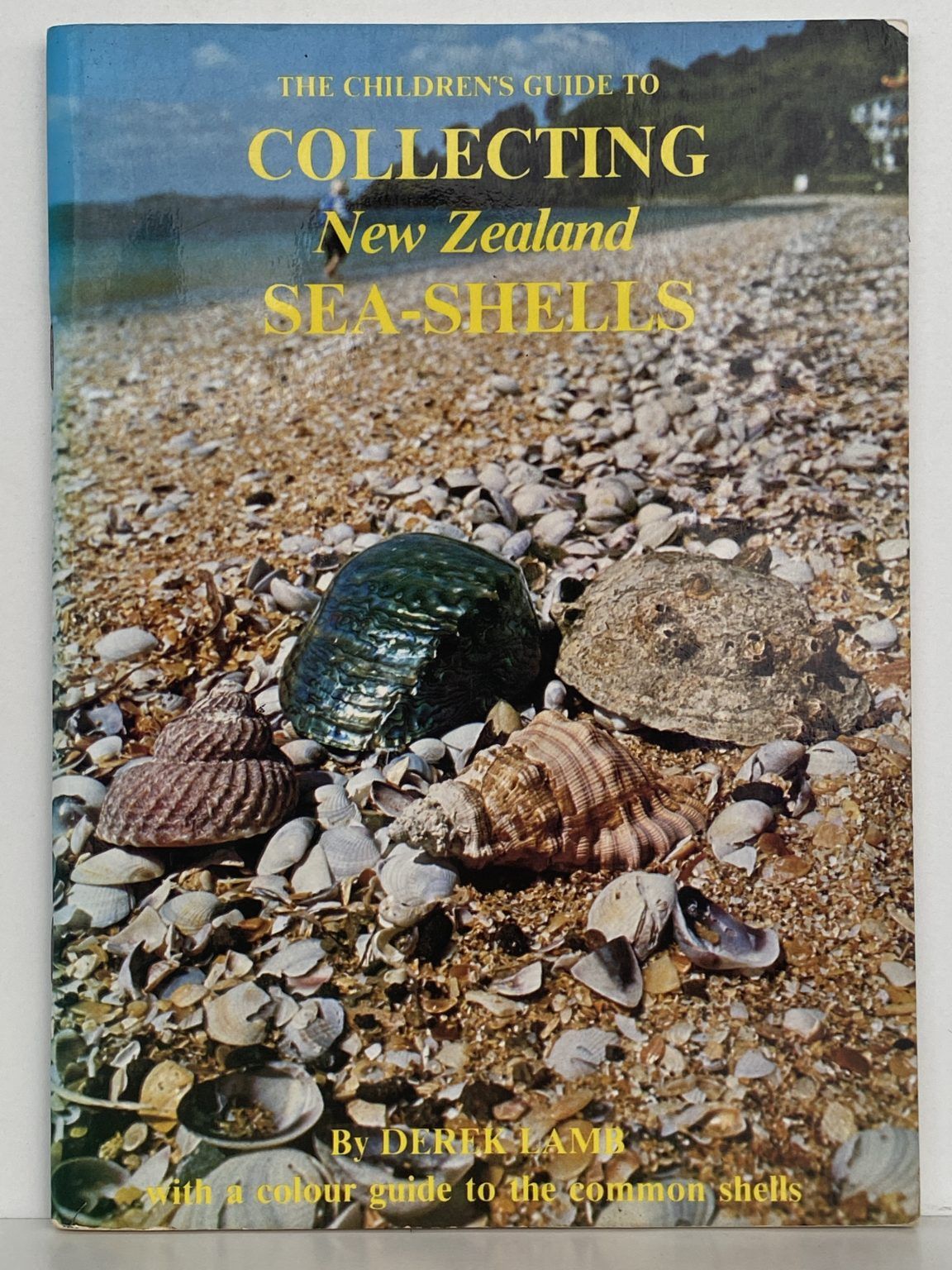 COLLECTING NEW ZEALAND SEA SHELLS The Children's Guide