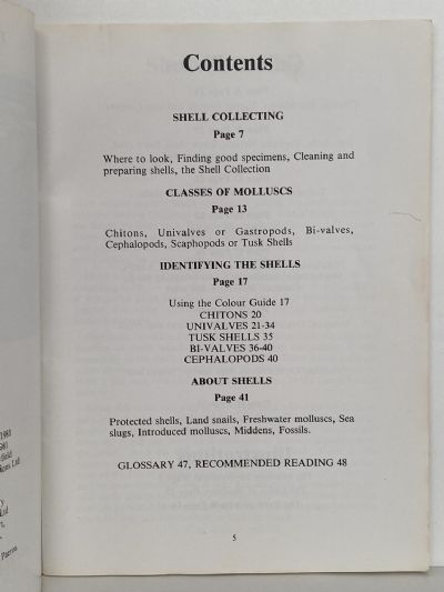 COLLECTING NEW ZEALAND SEA SHELLS The Children's Guide