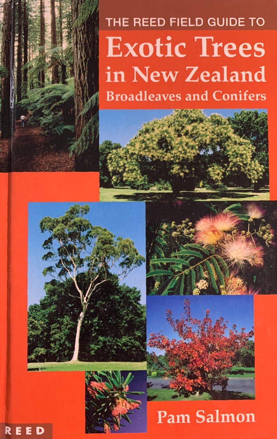 EXOTIC TREES IN NEW ZEALAND: Broadleves and Conifers