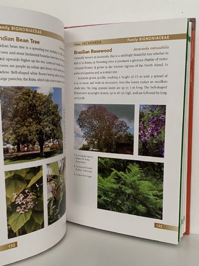 EXOTIC TREES IN NEW ZEALAND: Broadleves and Conifers