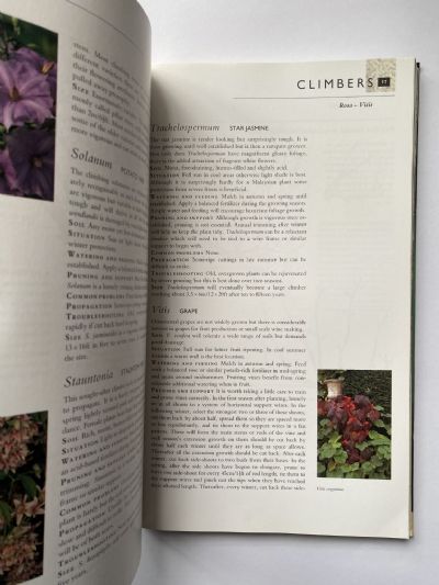 NEW ZEALAND PLANT CARE: The essential guide to the care of over 350 garden plants