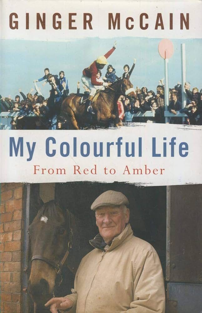 MY COLOURFUL LIFE: From Red to Amber