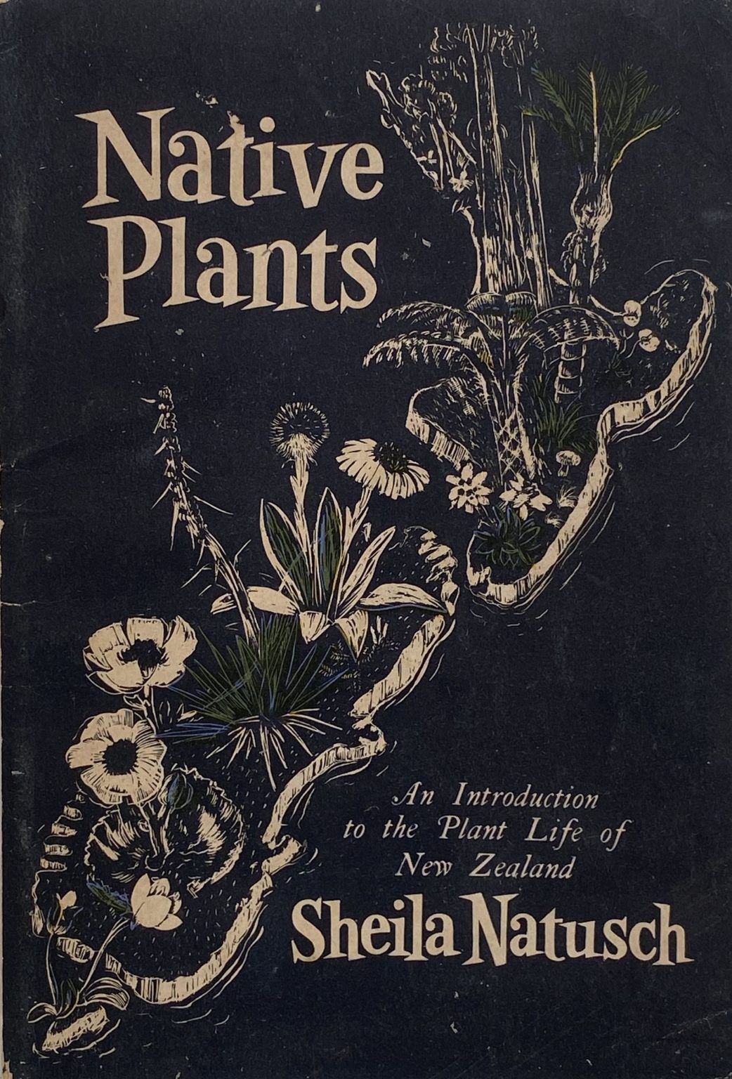 NATIVE PLANTS: An Introduction to the Plant Life of New Zealand