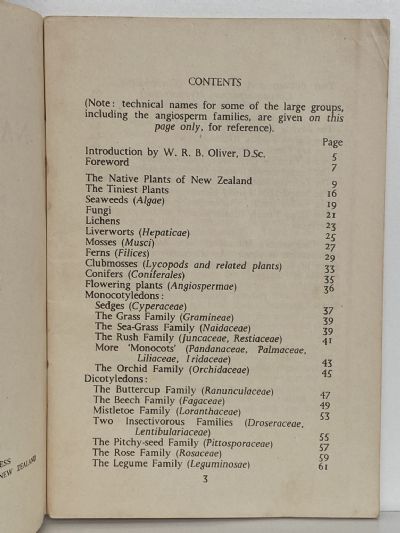 NATIVE PLANTS: An Introduction to the Plant Life of New Zealand
