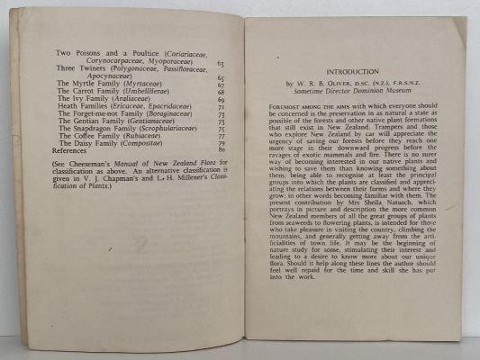 NATIVE PLANTS: An Introduction to the Plant Life of New Zealand