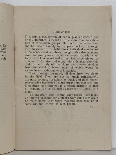NATIVE PLANTS: An Introduction to the Plant Life of New Zealand