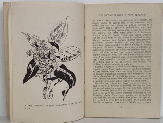 NATIVE PLANTS: An Introduction to the Plant Life of New Zealand