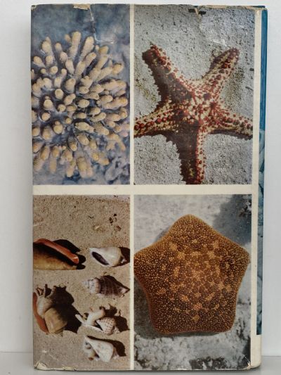 THE GREAT BARRIER REEF