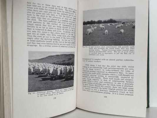 GRASSLANDS OF NEW ZEALAND