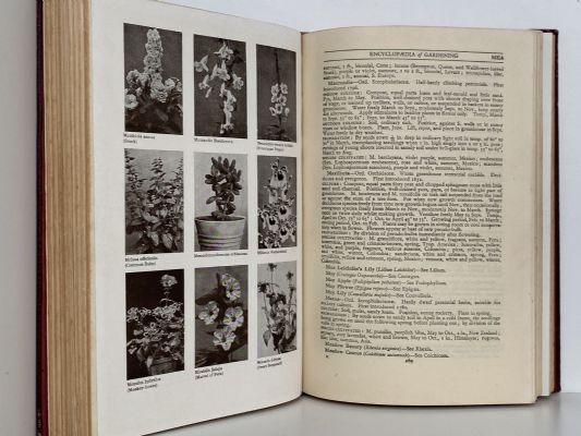 SANDER'S ENCYLOPAEDIA OF GARDENING - De Lux Illustrated edition