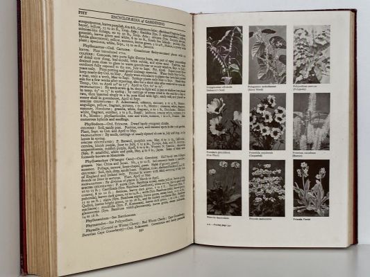 SANDER'S ENCYLOPAEDIA OF GARDENING - De Lux Illustrated edition