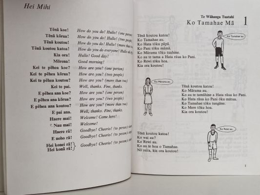 TE RANGATAHI: A Maori Language Course by Hoani Waititi: 3 Books