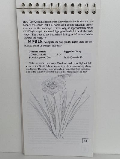 FIELD GUIDE TO THE MILFORD TRACK
