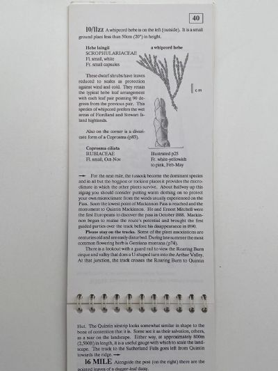 FIELD GUIDE TO THE MILFORD TRACK