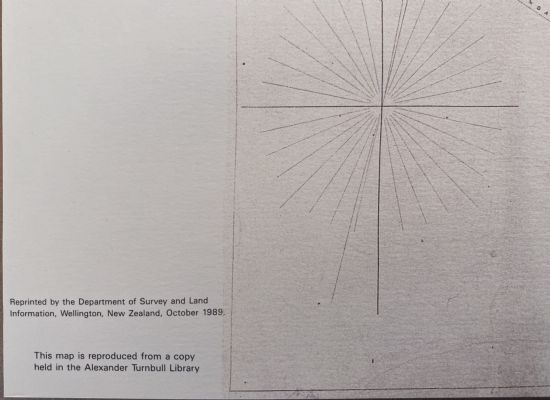 VINTAGE MAP: Plan of the Town of Nelson 1842