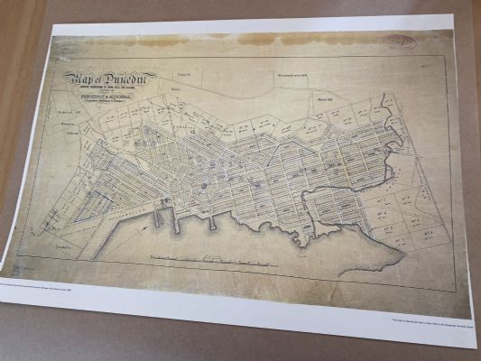 VINTAGE MAP: Dunedin - showing subdivision of town belt for leasing 1866