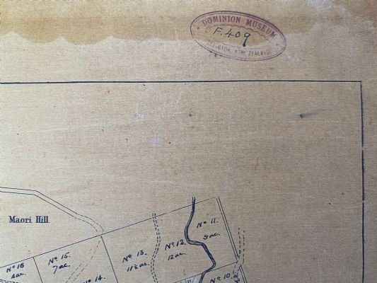 VINTAGE MAP: Dunedin - showing subdivision of town belt for leasing 1866