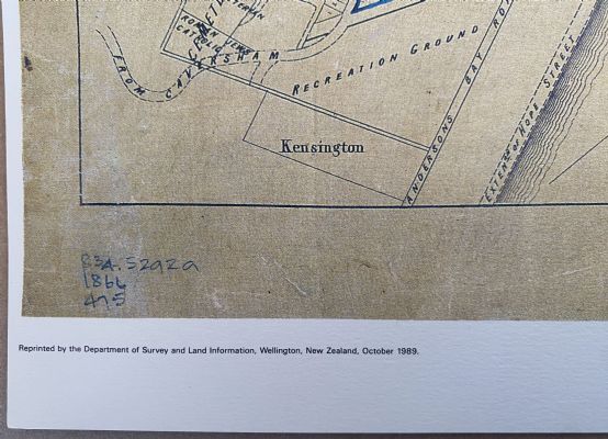 VINTAGE MAP: Dunedin - showing subdivision of town belt for leasing 1866