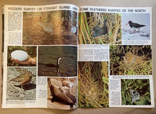 OLD NEWSPAPER: New Zealand Weekly News, No. 5533, 15 December 1969
