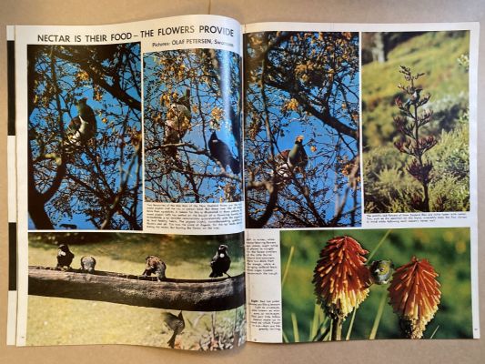 OLD NEWSPAPER: New Zealand Weekly News, No. 5524, 13 October 1969