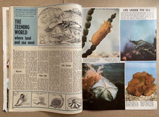 OLD NEWSPAPER: New Zealand Weekly News, 30 December 1968