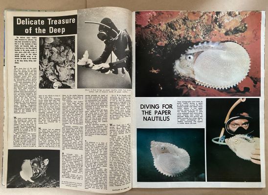 OLD NEWSPAPER: New Zealand Weekly News, No. 5419, 9 October 1967