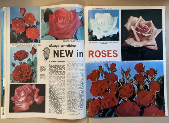 OLD NEWSPAPER: New Zealand Weekly News, No. 5368, 12 October 1966