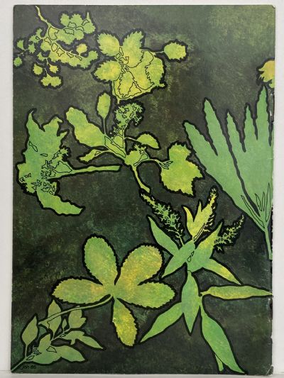 FIORDLAND TREES and SHRUBS