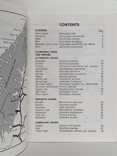 FIORDLAND TREES and SHRUBS