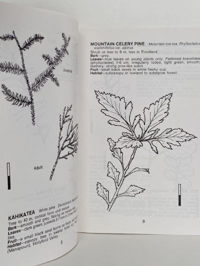 FIORDLAND TREES and SHRUBS