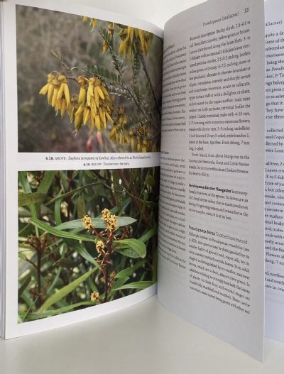 THE CULTIVATION OF NEW ZEALAND TREES AND SHRUBS: Your Essential Reference