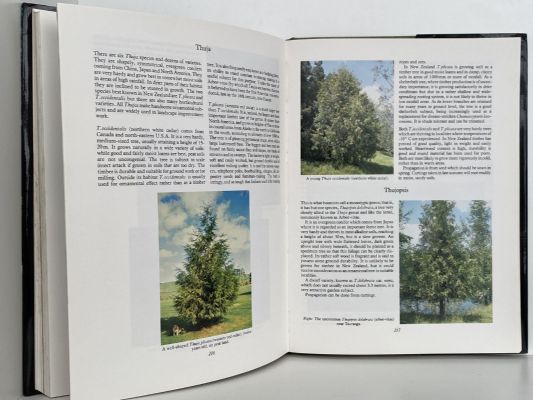 TREES FOR THE NEW ZEALAND COUNTRYSIDE: A Planters Guide