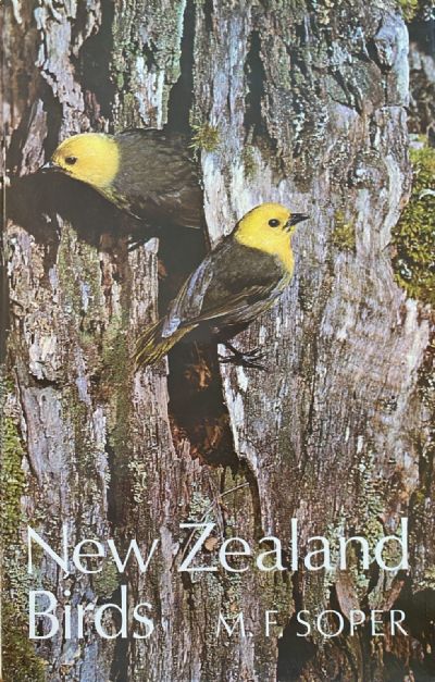 NEW ZEALAND BIRDS 