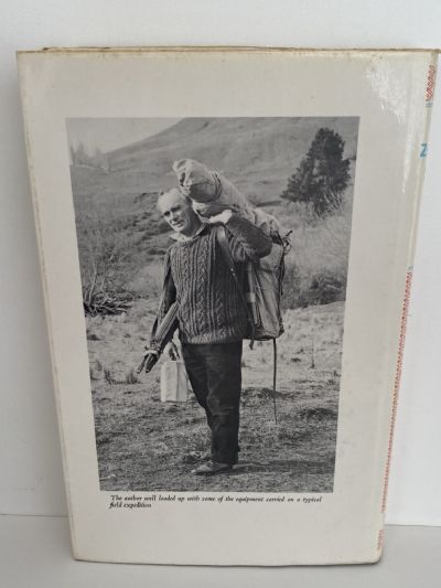 NEW ZEALAND BIRDS