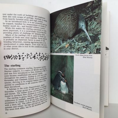 THE NEW ZEALAND BIRDWATCHERS' HANDBOOK