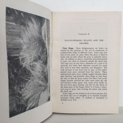 WEEDS OF NEW ZEALAND