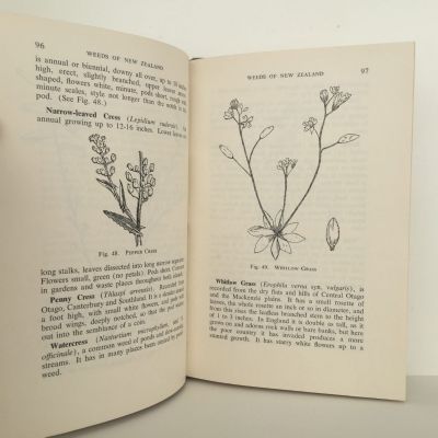 WEEDS OF NEW ZEALAND