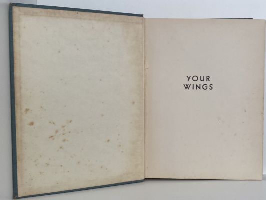 YOUR WINGS
