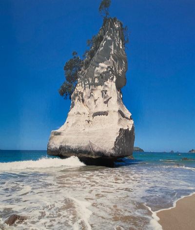 COROMANDEL PENINSULA